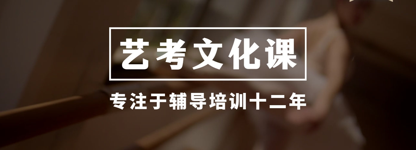 河南10强表演艺考文化课机构top名单榜首一览