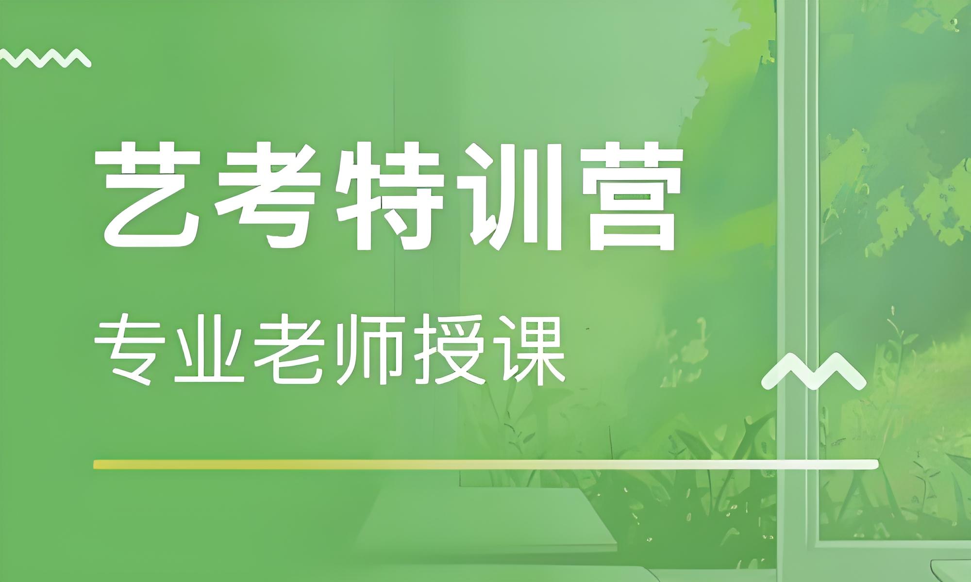 武汉十大靠得住的艺考历史文化课培训机构名单汇总