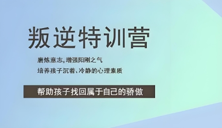 精选聚焦河南平顶山专业的矫正孩子网瘾心理咨询学校