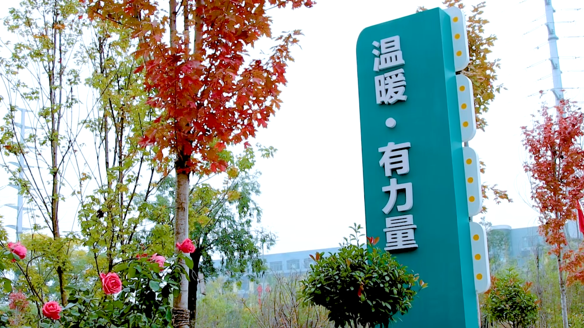 今日特讯杭州地区高三一对一补习教育机构名单汇总