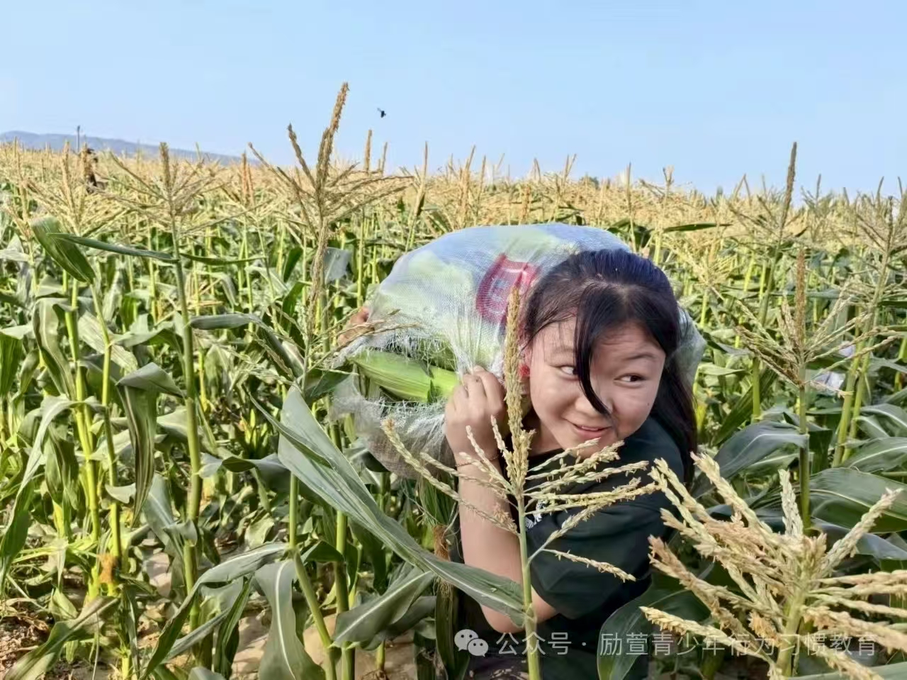 精选实力出色的三门峡叛逆孩子行为矫正学校名单榜首一览